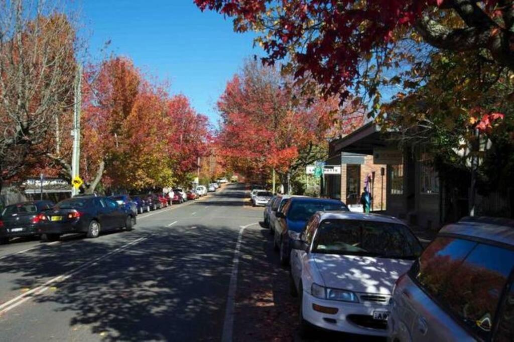 Nuach Cottage - Beautiful Family Home In Leura Eksteriør bilde